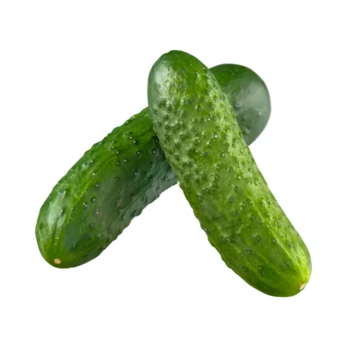 Castravete Cornichon