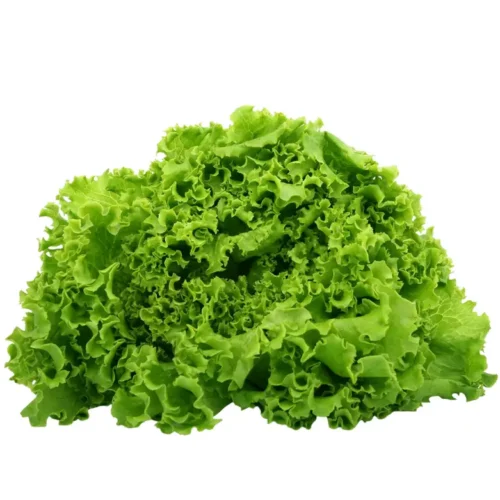 Salata